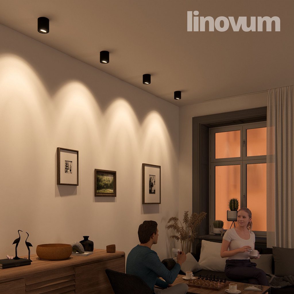 linovum-cori-led-aufbaustrahler-schwarz-1.jpg